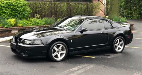 2003 Ford Mustang SVT Cobra for sale on BaT Auctions - closed on May 29 ...