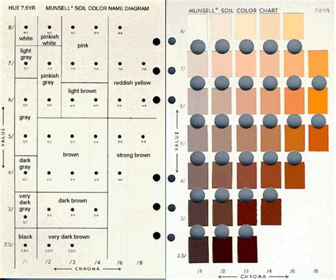 Make Your Own Soil Color Book | DirtArtful