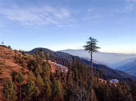 Hilly Area landscape view stock photo. Image of pine - 107357380