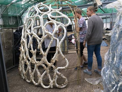 Grown Structures: A zero-waste structure made from mycelium - MaterialDistrict