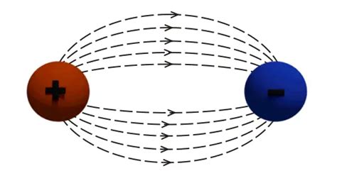 Electric Lines of Force | Electrical4U