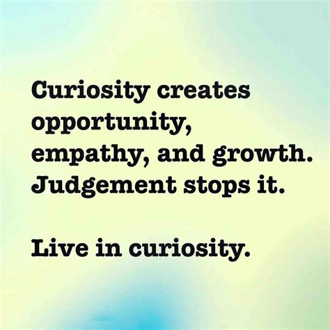 300 Quotes About Curiosity Encouraging You to Keep Learning