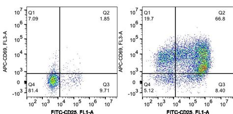 Human CD3/CD28 T cell Activation Beads Kit KMS310 | Proteintech