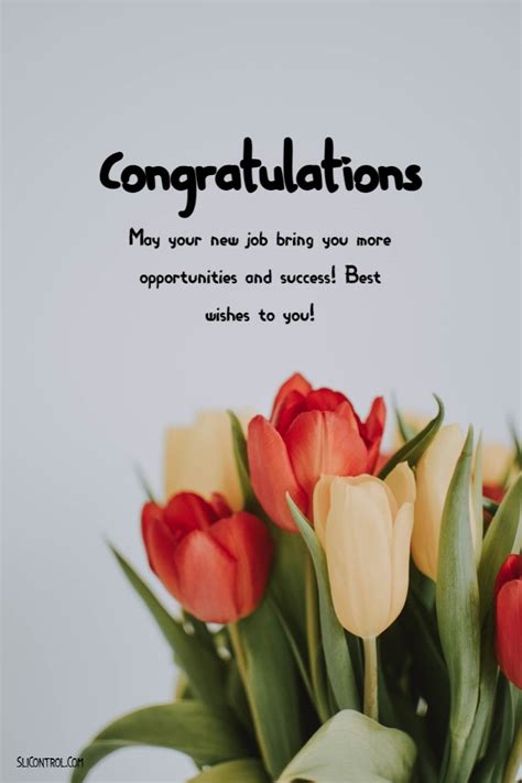 145+ Best Wishes for New Job & Congratulations Messages, Quotes ...