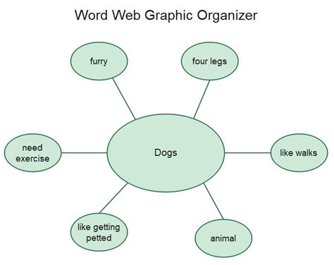 Web Diagram Graphic Organizer