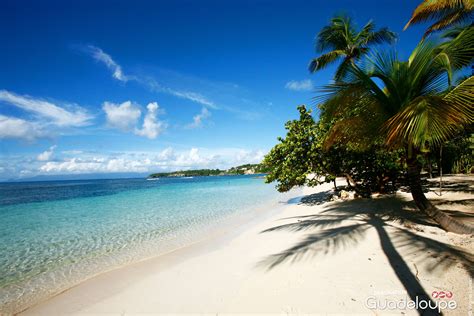 Plus de 70 image guadeloupe plage 319575-Image guadeloupe plage - Pictngamukjprcot