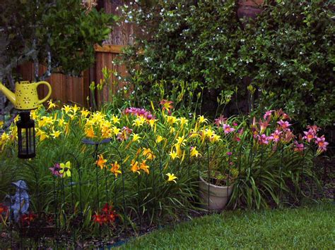 Daylily garden Daylily Garden, Day Lilies, Garden Design, Canning ...