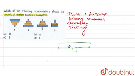 Which of the following representations shows the pyramid of number in a forest ecosystem ? - YouTube