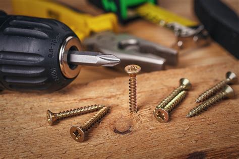 Wood Screws: Different Types and Uses | Dayooper