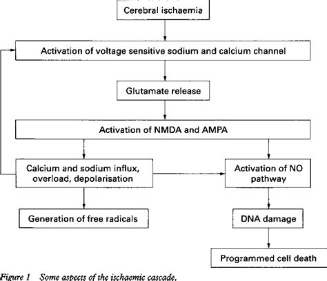 Figure 1 from Pathophysiology of acute ischaemic stroke BIOCHEMICAL ...