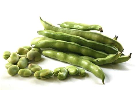 Fava Beans Nutrition: 7 Incredible Health Benefits — Hitchcock Farms