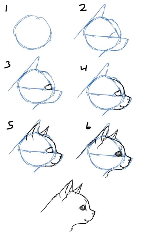 Cat Face Profile Drawing