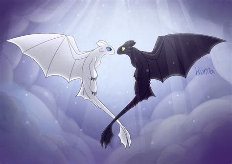Httyd Toothless And Light Fury
