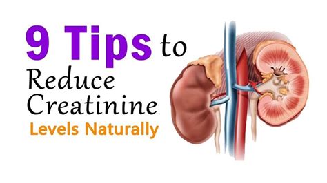 5 Ways to Lower Creatinine Level Naturally remedies