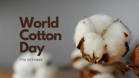 World Cotton Day 2022 is celebrated on October 7