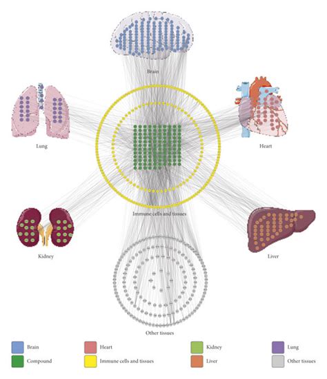 Compound-target-organ location map. The displayed nodes collectively... | Download Scientific ...