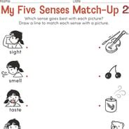 1st Grade Science Worksheets - TurtleDiary - Worksheets Library