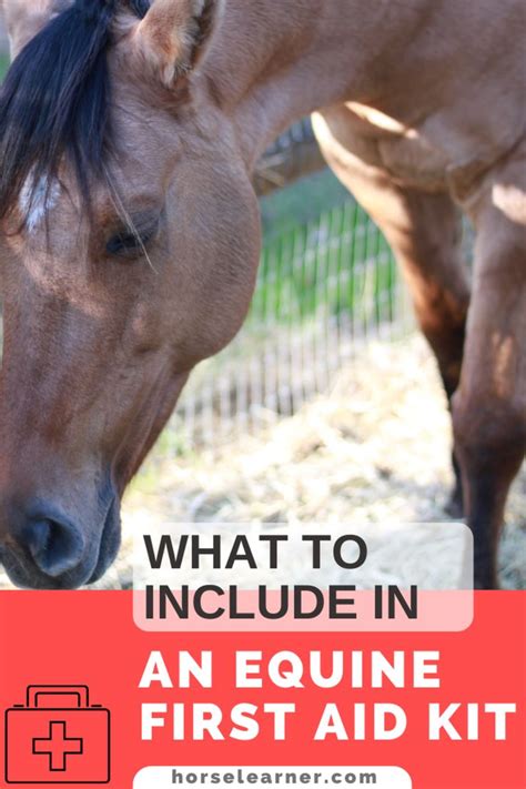 Horse First Aid Kit Checklist | What to Include and How to Use | Equine care, Horses, Horse health