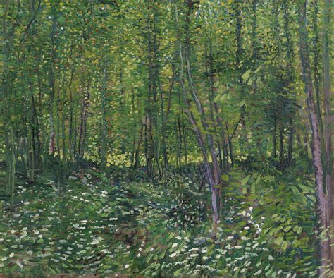 Van Gogh “Trees and Undergrowth”, 1887 – Marion Boddy-Evans