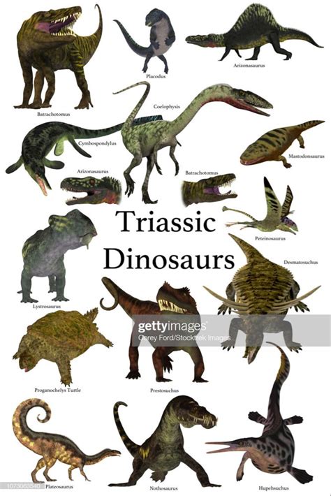 A collection of various dinosaurs and reptiles that lived during the... | Prehistoric animals ...