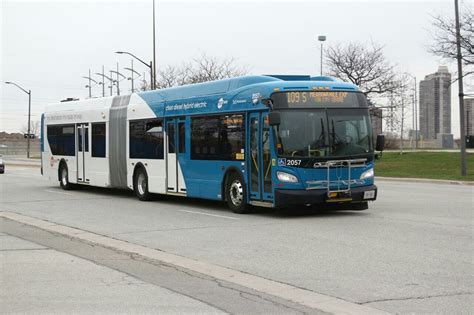 Mississauga MiWay New Flyer Xcelsior Articulated in 2021 | New flyer ...