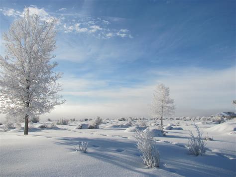 Image: Morning Freezing Fog in Elko, Nevada