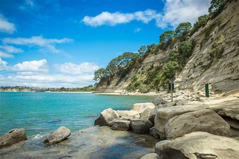 Long Bay Regional Park - 2020 All You Need to Know Before You Go (with Photos) - Long Bay, New ...