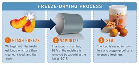 Different Types Of Freeze-Drying at Marian Kauffman blog