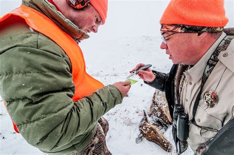 Avoid Costly Common Hunting Violations - Colorado Outdoors Online