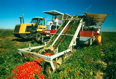 World Modern Agriculture Technology Harvesting machine 2023/Modern ...