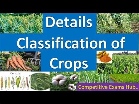 Detail Classification of Agricultural crops !!!! - YouTube