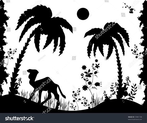 Desert Camel Black White Illustration Stock Vector 10981198 - Shutterstock