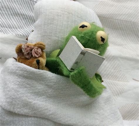 Kermit reading to his teddy bear Cute Memes, Funny Memes, Sapo Kermit ...