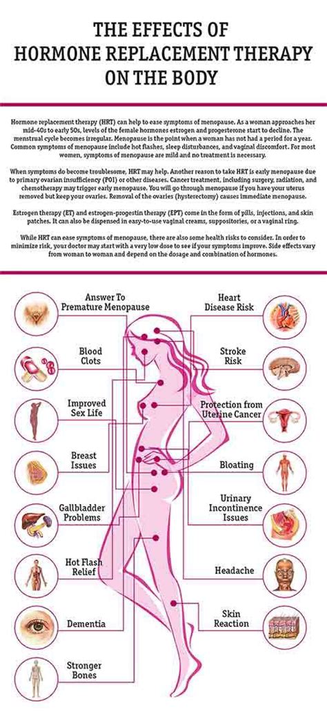 Hormone Replacement Therapy Definition - Human Body Anatomy