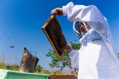 Supha Bee Farm - A learning centre about honey bees - Chiang Mai Citylife