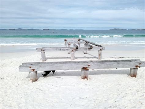 Which Is The Best Esperance Dog Friendly Caravan Park?