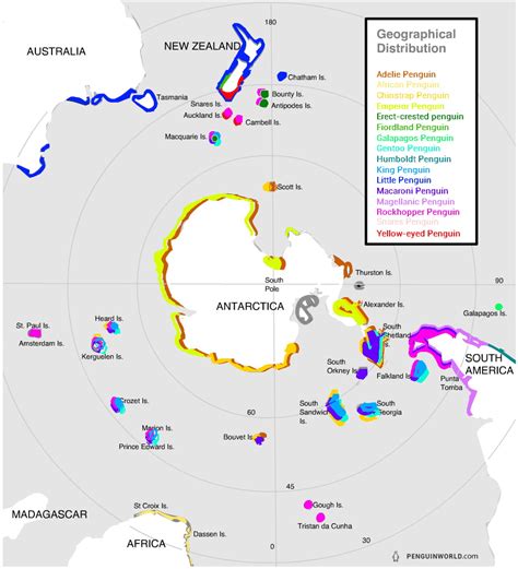 Penguin habitat distribution - Vivid Maps