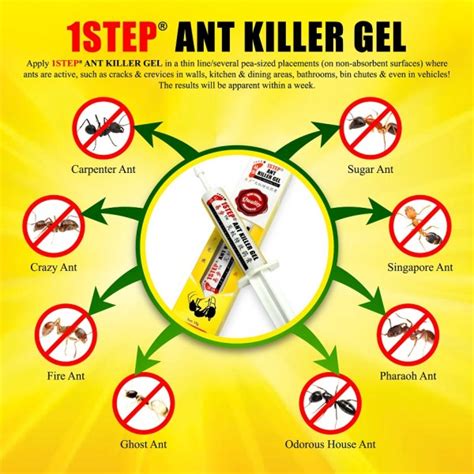 1STEP Ant Killer Gel 15g - Easy to use - Kill All Types of Ants - 1STEP DIY PRODUCTS