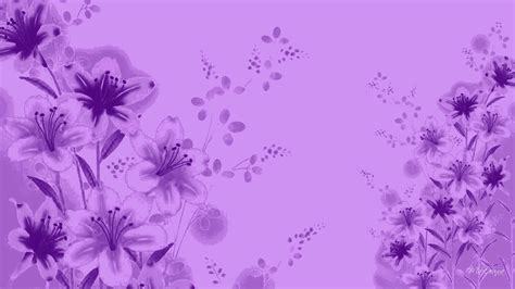 Purple lavender Full Hd Wallpaper, Wallpaper For Your Phone, Flower ...