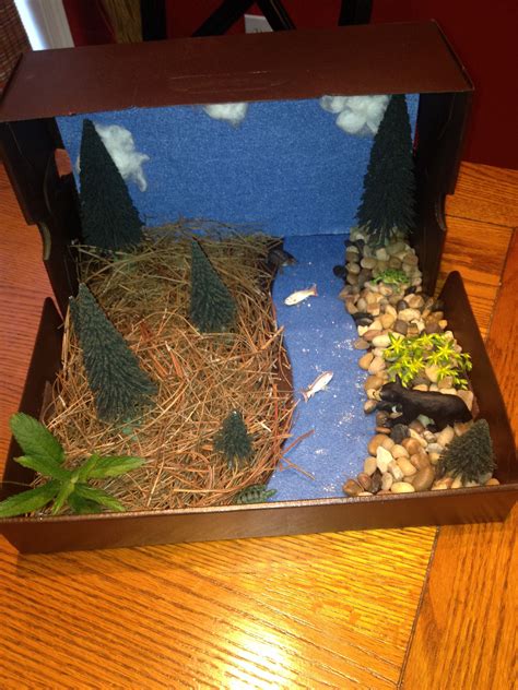 Biome Box- Rivers and Streams Shoe Box Diorama, Diorama Kids, Landform Projects, Ecosystems ...