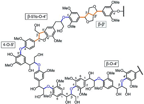 Establishing lignin structure-upgradeability relationships using ...