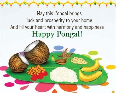 Happy Pongal Quotes In English - ShortQuotes.cc