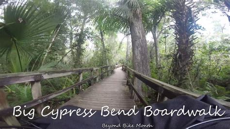 Big Cypress Bend Boardwalk - YouTube