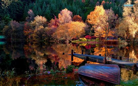 in the woods | Lake in the woods wallpaper - Nature wallpapers - #15494 | Desktop background ...