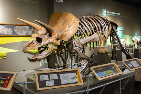 What It's Like to Visit the Buffalo Museum of Science - Uncovering New York