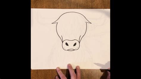 How to Draw a Highland Cow - YouTube