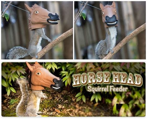 OMG: Horse Head Squirrel Feeder | Gramkin Paper Studio