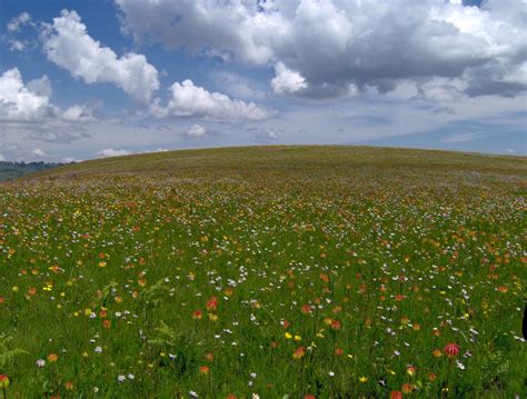 Tanzania photos (Tanzania's wildlife and natural beauty) | Page 5 ...