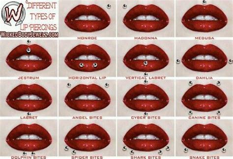 Types Of Lip Piercings Chart