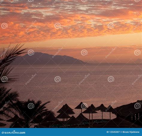 Dawn before sunrise stock image. Image of sheikh, parasol - 12545307